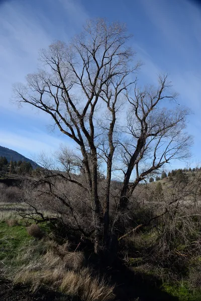 DSC_1063 (Large).JPG